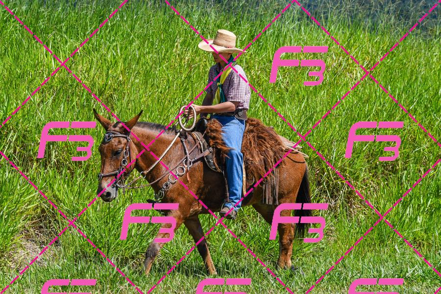 PC