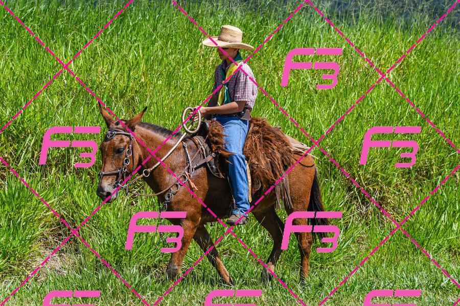 PC